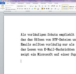 Screenshot Textbearbeitung mit Microsoft Word