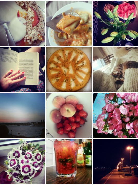 instagram_fotos